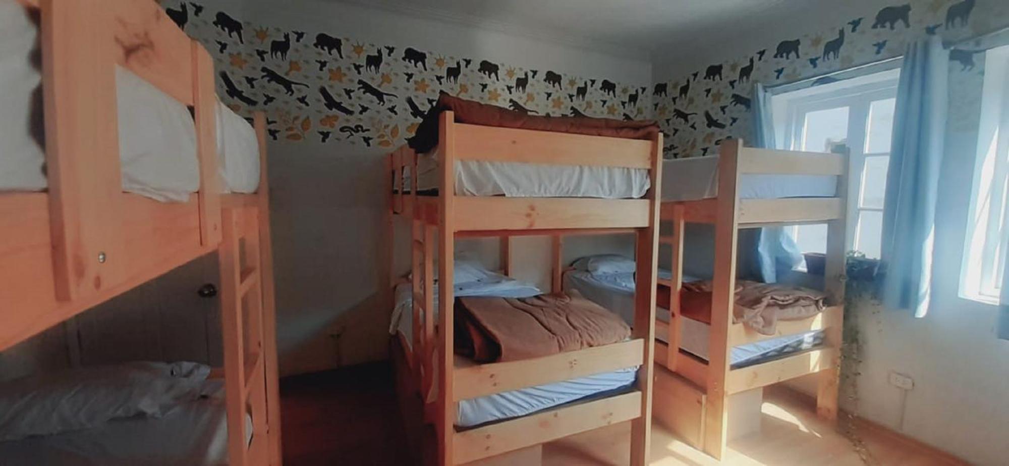 Quinoa Backpackers Hostel Лима Екстериор снимка