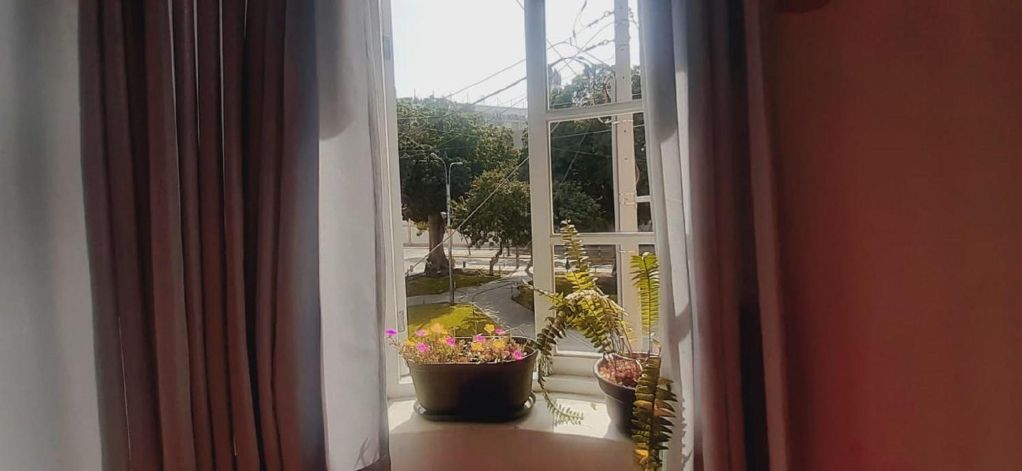 Quinoa Backpackers Hostel Лима Екстериор снимка